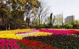 春天上海公园哪个好玩（现在这个季节上海哪个公园最好玩）