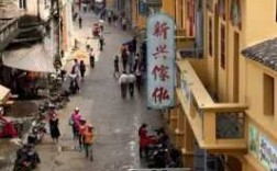 黄江步行街图片（黄杨木图片）