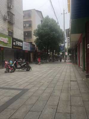 岳阳市步行街图片（岳阳步行街附近小区）-图1