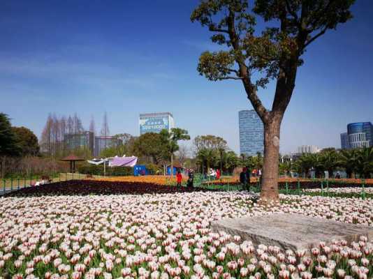 春天上海公园哪个好玩（现在这个季节上海哪个公园最好玩）-图3