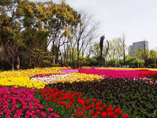 春天上海公园哪个好玩（现在这个季节上海哪个公园最好玩）-图1